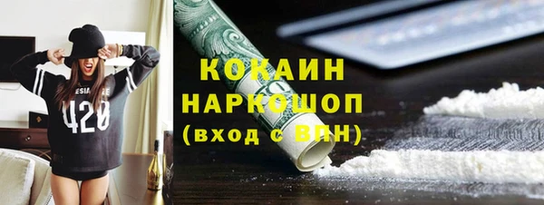 стаф Бородино