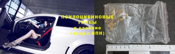 стаф Бородино