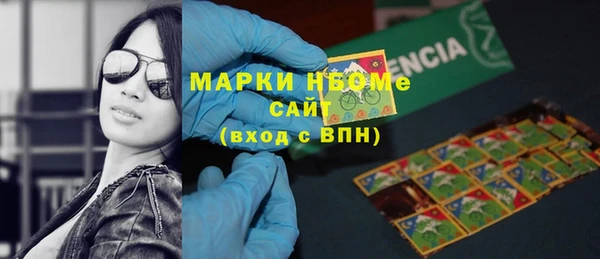 стаф Бородино