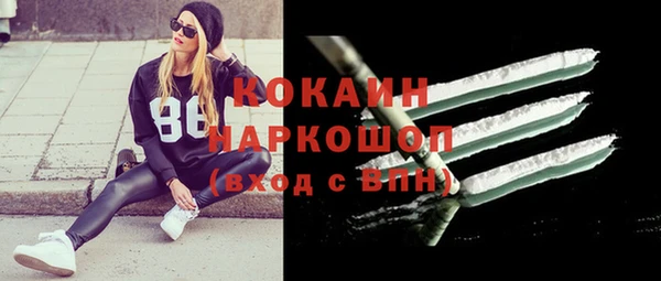 стаф Бородино