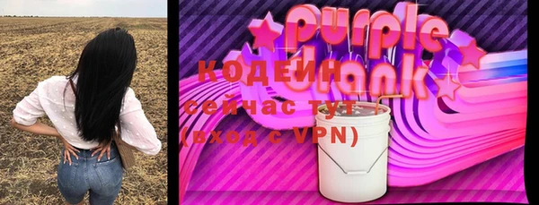 стаф Бородино