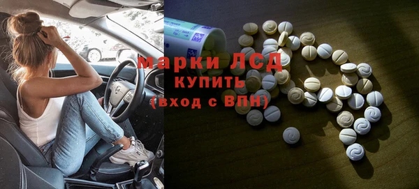 стаф Бородино